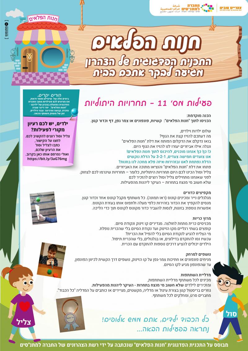 פעילות 11