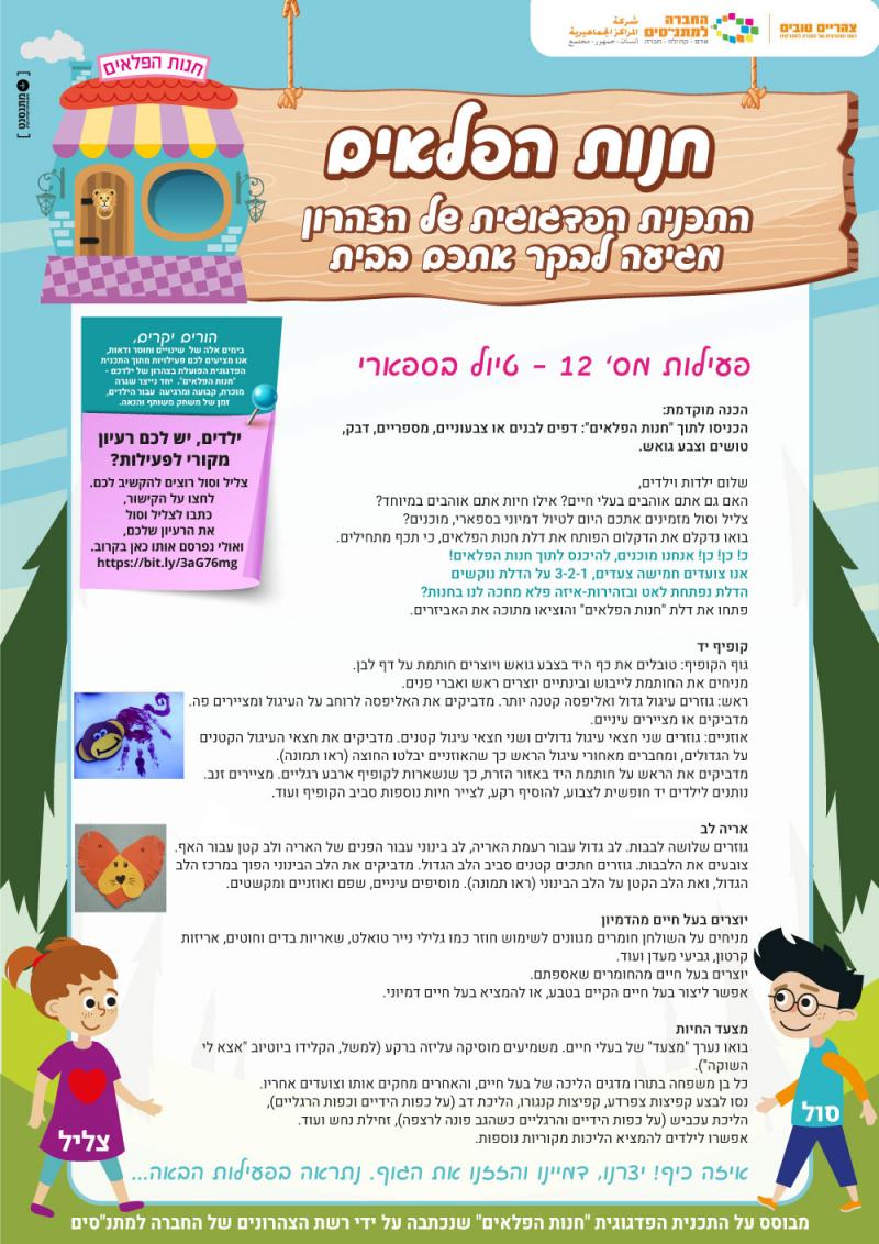 פעילות 12