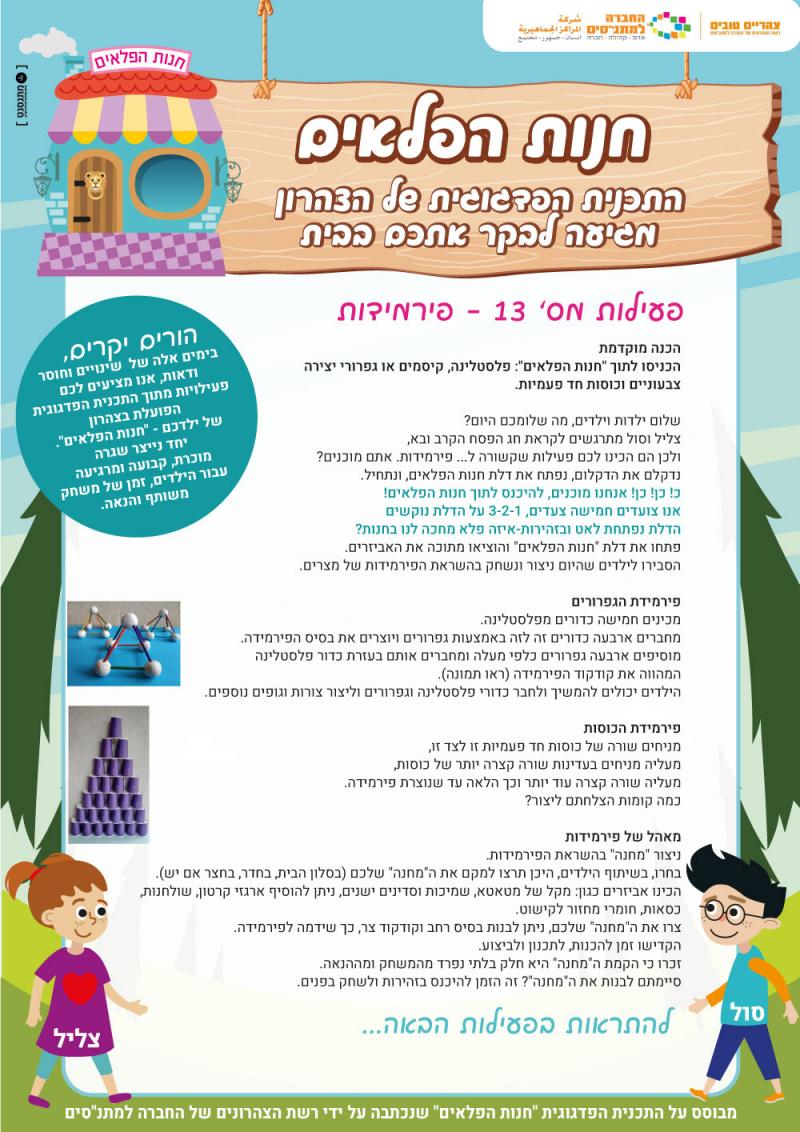 פעילות 13