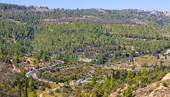 תמונת אווירה לאירוע